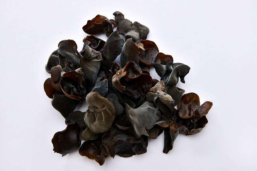 black woodear mushroom